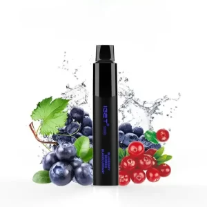 Blueberry Berries Blackcurrant - IGET Legend 4000 Puffs