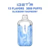 Blueberry Raspberry IGET Halo Vape Kit 3000 Puffs