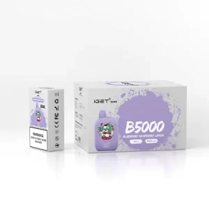 IGET B5000 - Blueberry Raspberry Lemon | IGET Vape Online