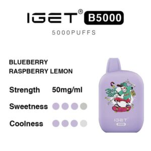 IGET B5000 - Blueberry Raspberry Lemon | IGET Vape Online