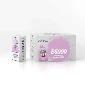 IGET B5000 - Blueberry Razz Hot Selling | IGET Vape Online