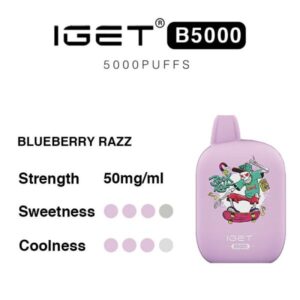 IGET B5000 - Blueberry Razz Hot Selling | IGET Vape Online