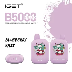 IGET B5000 - Blueberry Razz Hot Selling | IGET Vape Online