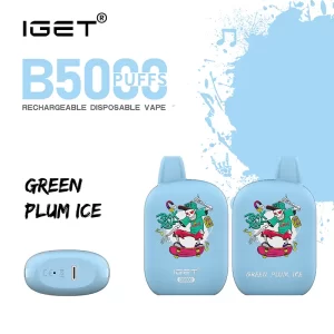 IGET B5000 - Green Plum Ice | IGET Vape Online