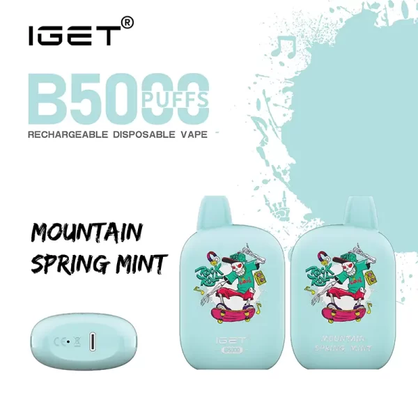 IGET B5000 - Mountain Spring Mint | IGET Vape Online