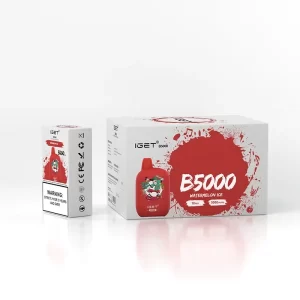 IGET B5000 - Watermelon Ice | IGET Vape Online