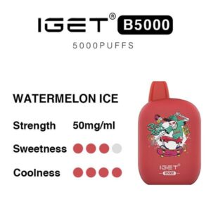 IGET B5000 - Watermelon Ice | IGET Vape Online