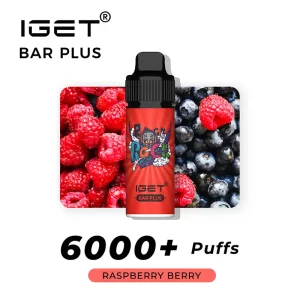 IGET Bar Plus 6000 Puffs - Raspberry Berry