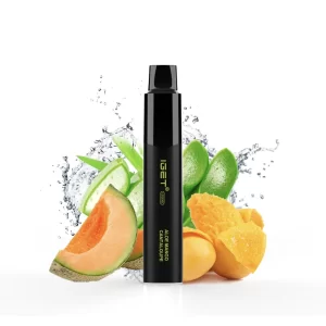 IGET Legend Aloe Mango Cantaloupe - 4000 Puffs